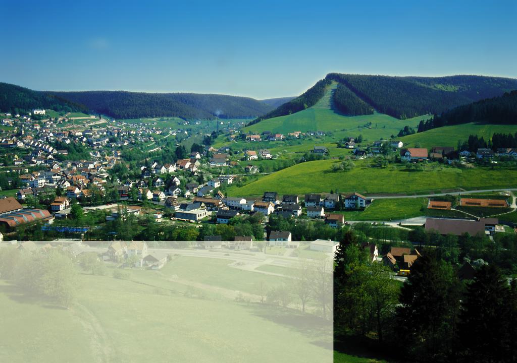 Haus Bergwiese Baiersbronn Dış mekan fotoğraf